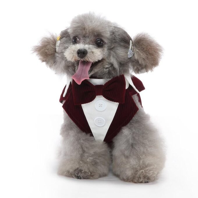 Elegant Canine Attire: Formal Dog Tuxedo Dress