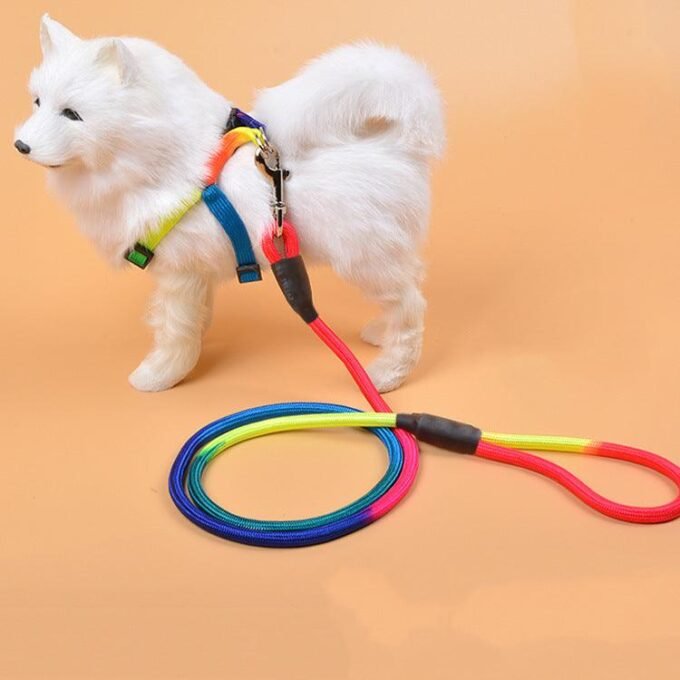 Vibrant Nylon Round Handheld Dog Rope - Stylish Pet Leash