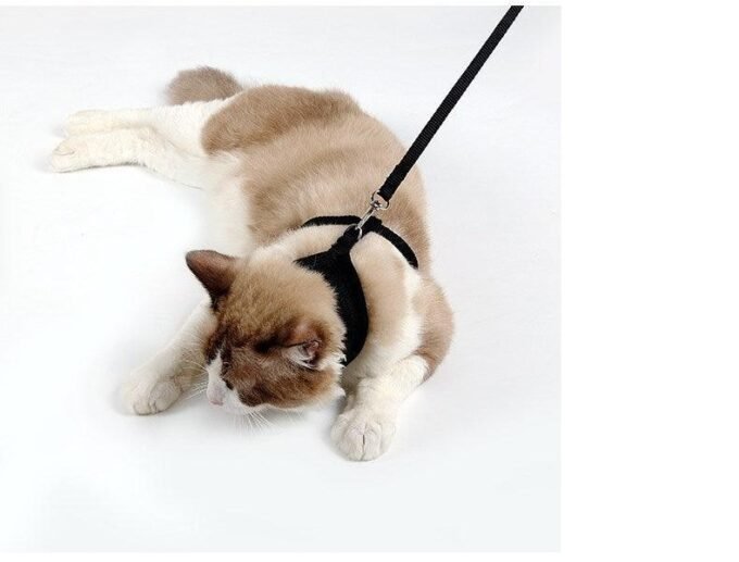 Ultimate Grip Cat Harness - Image 3