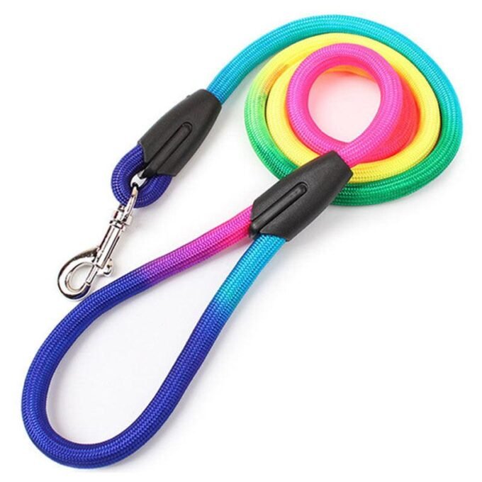 Vibrant Nylon Round Handheld Dog Rope - Stylish Pet Leash - Image 2