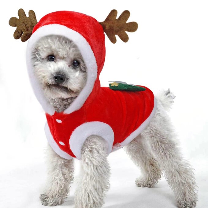 Festive Santa Claus Dog Costume For Small Dogs - Perfect For Christmas Celebrations! - Image 4