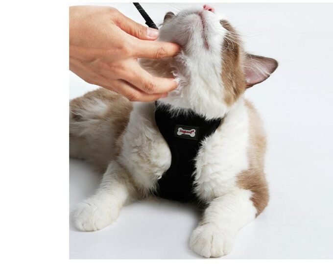 Ultimate Grip Cat Harness - Image 5