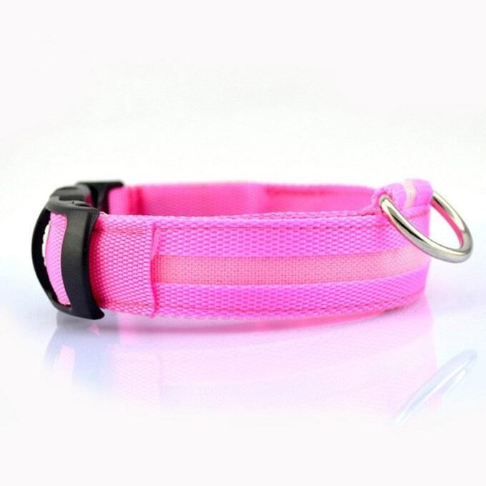 Illumipet Led Safety Collar