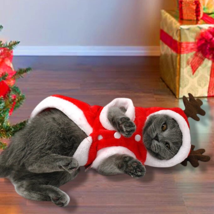 Festive Santa Claus Dog Costume For Small Dogs - Perfect For Christmas Celebrations!