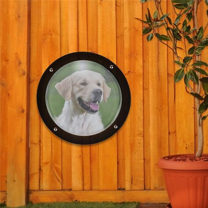 Semi-Circular Acrylic Pet Fence Window: The Perfect Peek For Your Furry Friend - Image 4