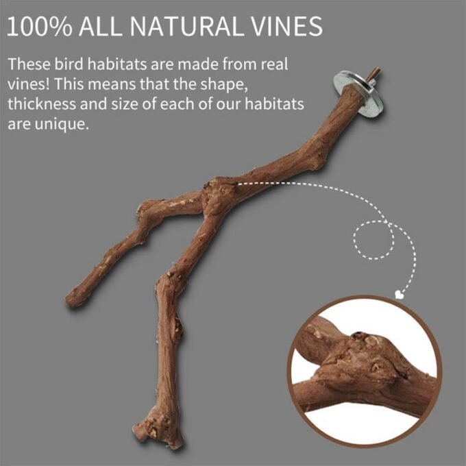 Natural Grape Wood Bird Perching Stick - Image 5