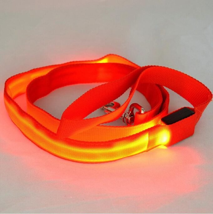 Glowing Pet Leash - Illuminated Led Dog Leash - Image 5