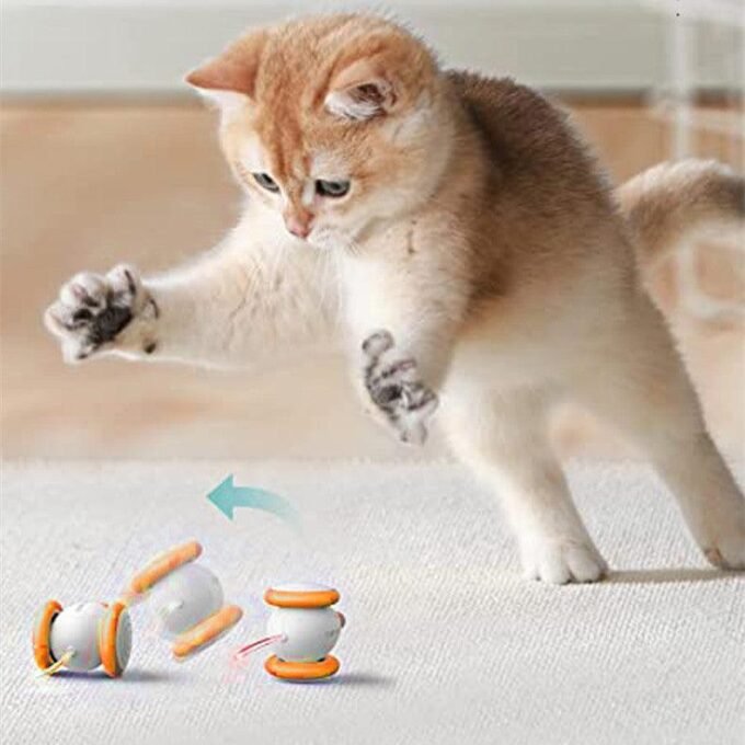 Electric Feline Fun: Interactive Cat Teaser Toy