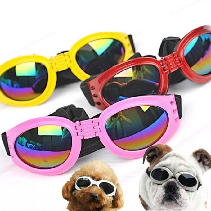 Foldable Aquashield Dog Sunglasses