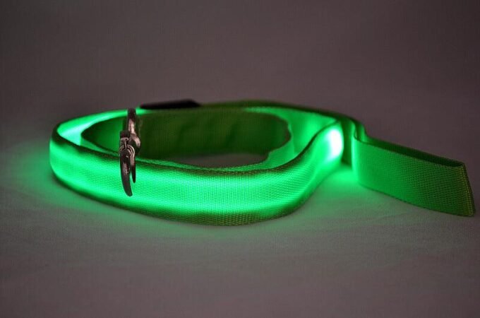 Glowing Pet Leash - Illuminated Led Dog Leash - Image 4