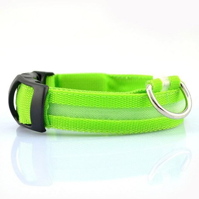 Illumipet Led Safety Collar - Image 4