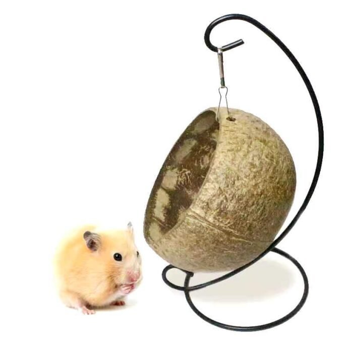 Golden Bear Coconut Shell Hanging Nest For Hamsters And Guinea Pigs