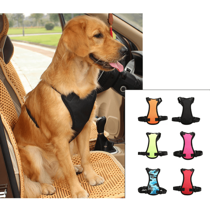 Petsafe Travel Harness: Secure And Stylish Car Restraint For Your Furry Friend