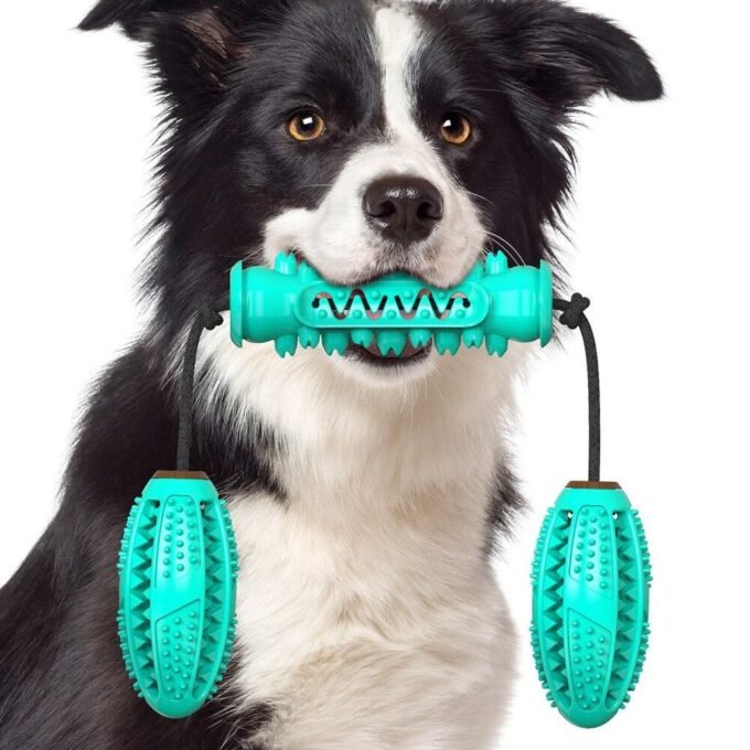 Pet Dental Delight: 360° Molar Bumps And Teeth Cleaning Toy