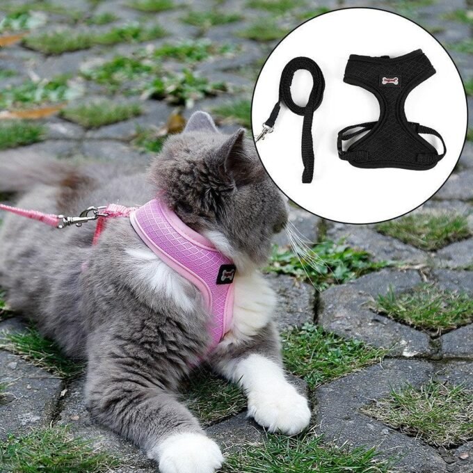 Ultimate Grip Cat Harness