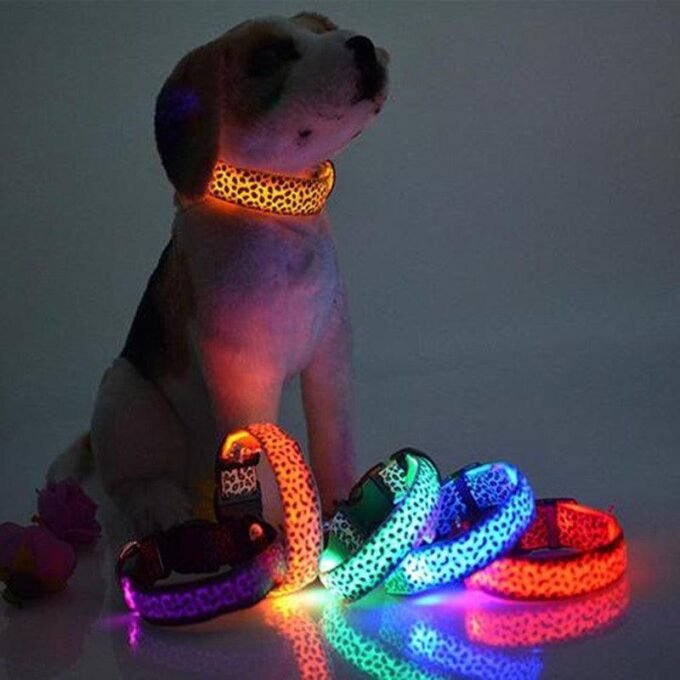 Leopard Glow-In-The-Dark Led Pet Collar: Keep Your Furry Friend Safe And Stylish!