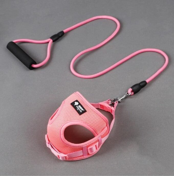 The Ultimate Comfort Dog Leash And Collar Set - Image 5