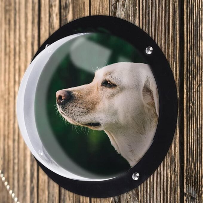 Semi-Circular Acrylic Pet Fence Window: The Perfect Peek For Your Furry Friend