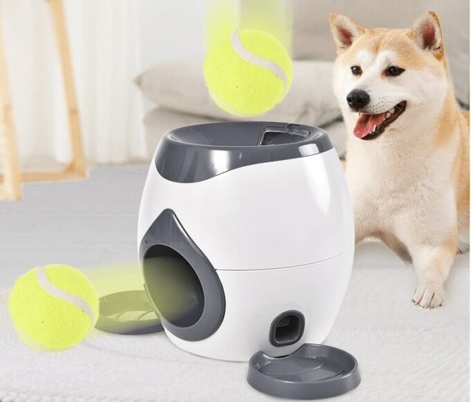 Automatic Pet Training And Feeding System