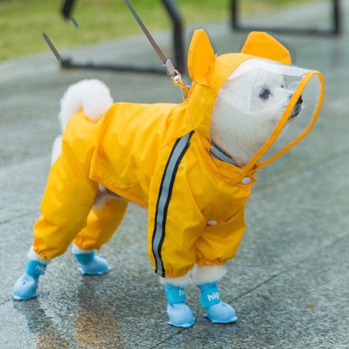 Autumn Pet Rainy Clothes - Small Dog Puppies Raincoat - Image 5