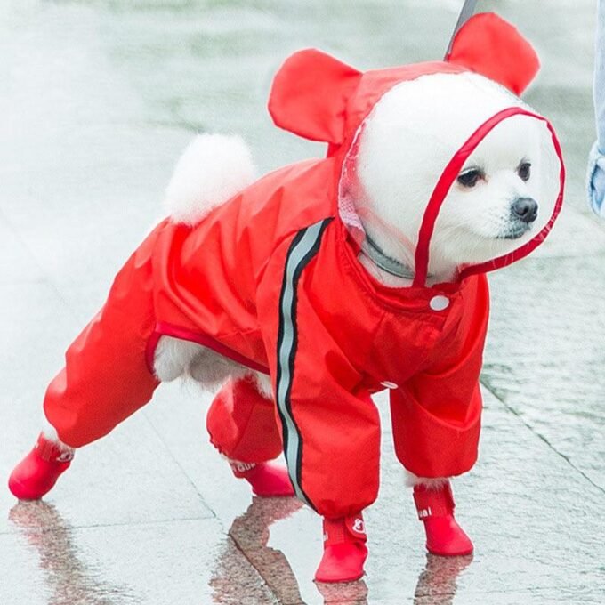 Autumn Pet Rainy Clothes - Small Dog Puppies Raincoat - Image 4