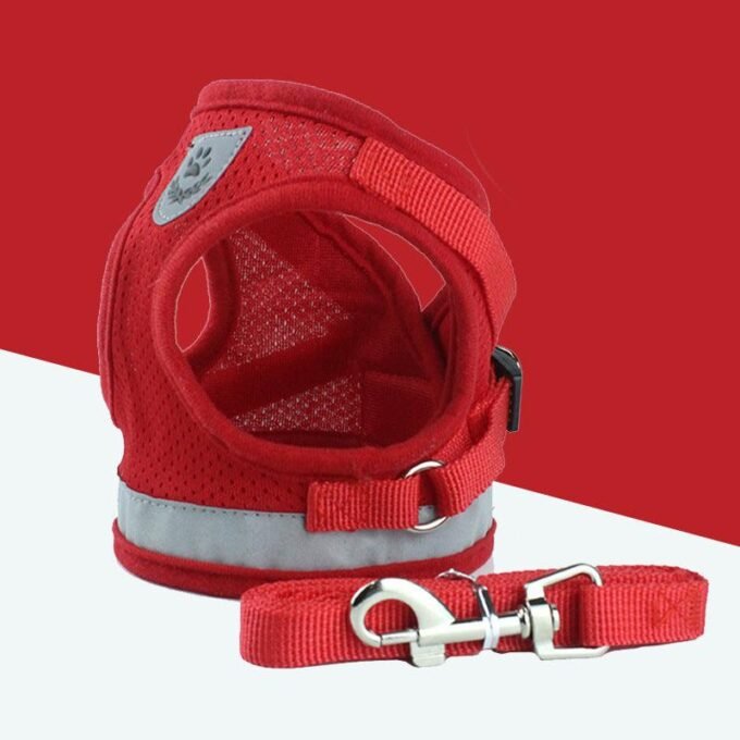 Breathable Mesh Pet Leash With Reflective Design And Matching Belt - Image 2