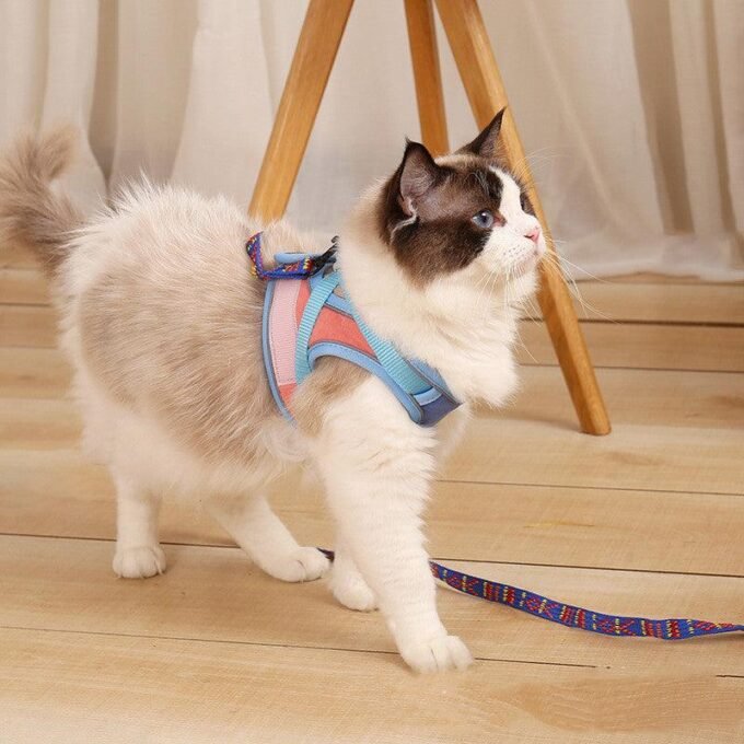 Escape-Proof Reflective Cat Harness And Leash Set - Image 5