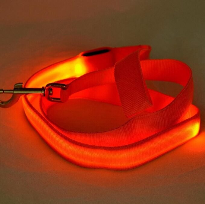 Glowing Pet Leash - Illuminated Led Dog Leash