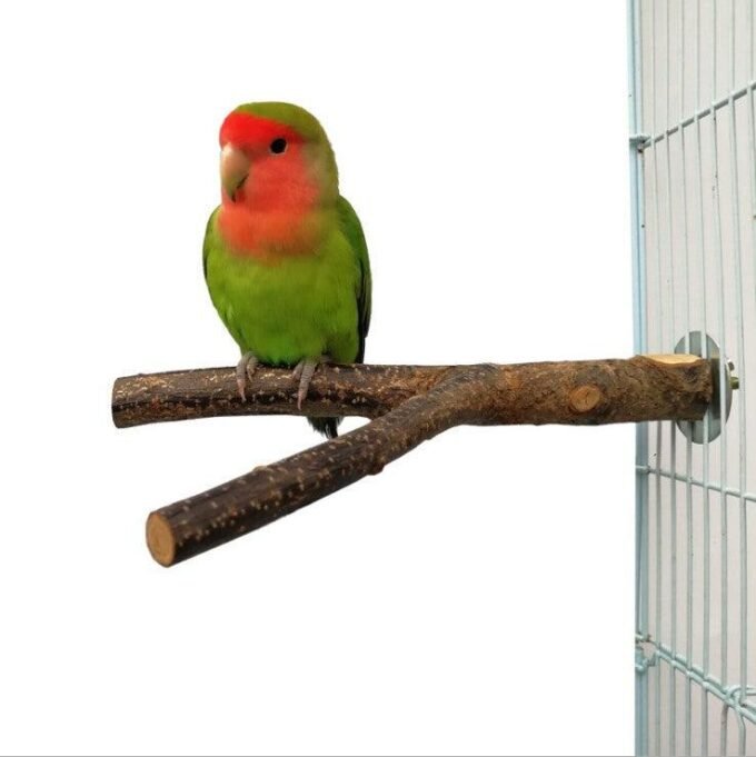 Rattan Ring Bird Cage Chewing Toy With Standing Frame - Natural Apple Branch Braided Ring For Birds - Image 5