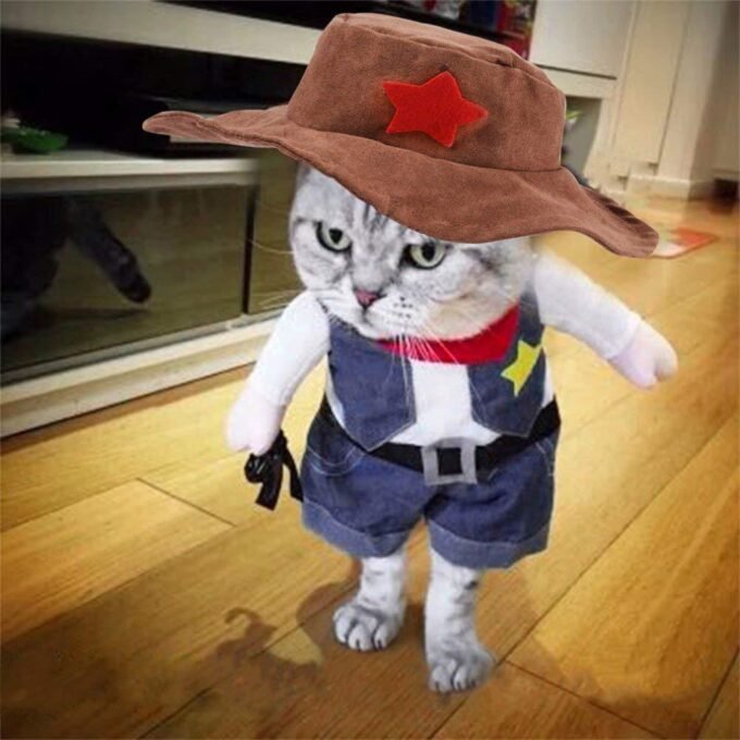 Denim Cowboy Pet Costume - Image 2