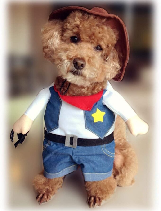 Denim Cowboy Pet Costume - Image 4