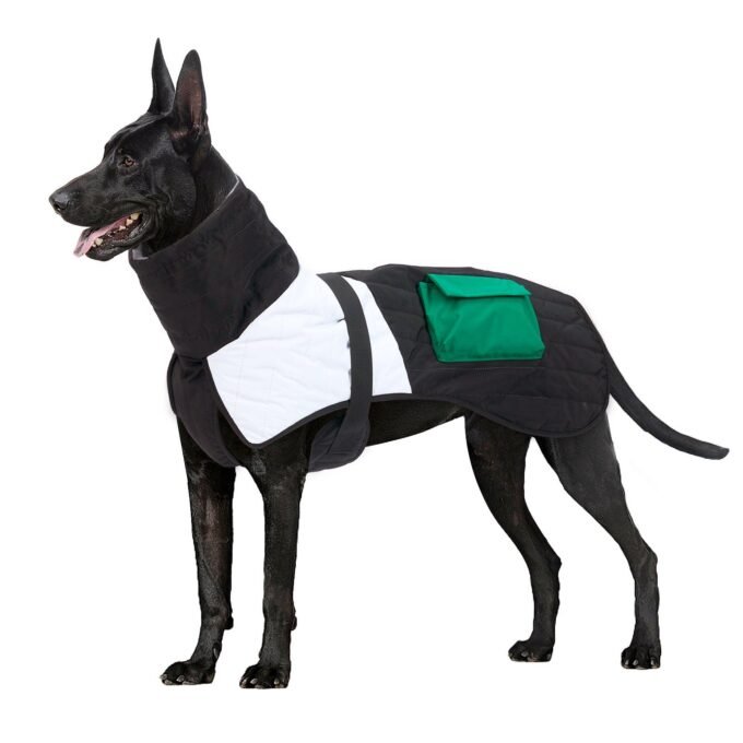 Winter Wonderland Dog Padded Coat - Image 3