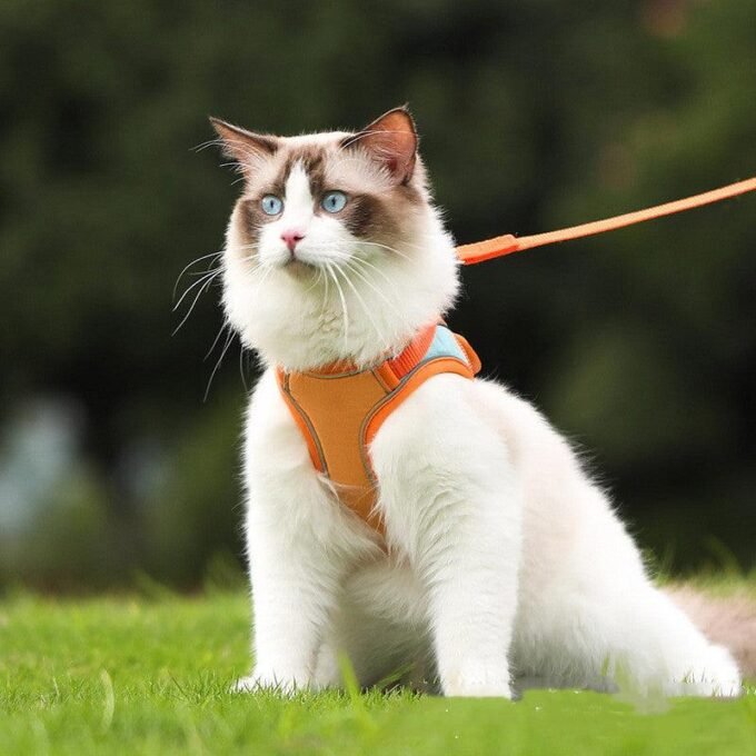 Escape-Proof Reflective Cat Harness And Leash Set