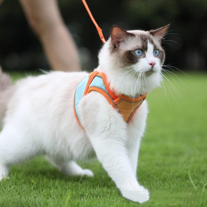 Escape-Proof Reflective Cat Harness And Leash Set - Image 4